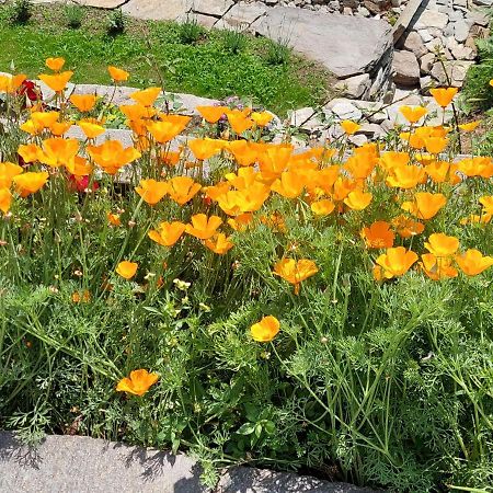 고르돌라 Casa Fedia 빌라 외부 사진